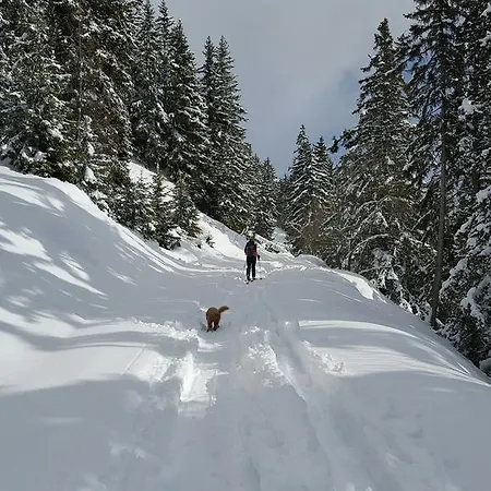 Chalet Sunny Meadows Domek alpejski *