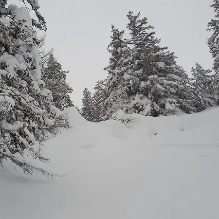 Chalet Sunny Meadows Шале Кран-Монтана