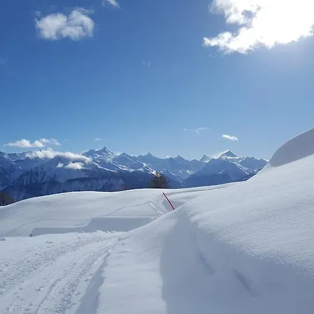 Domek alpejski Chalet Sunny Meadows
