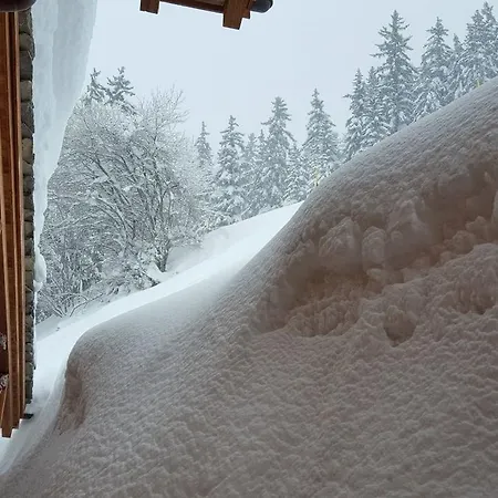 Domek alpejski Chalet Sunny Meadows *